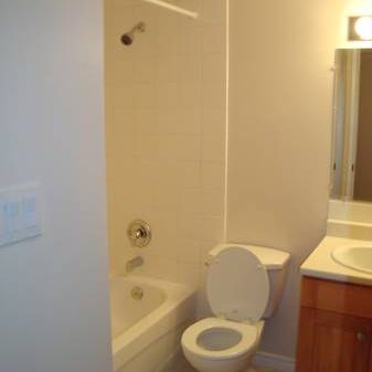 Large Renovated One Bedroom Suite in Mt Pleasant (Main & 12th) - Photo 4