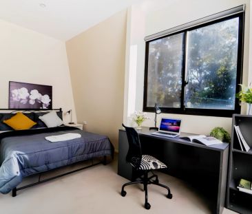 DELUXE STUDIO APARTMENT - Photo 2