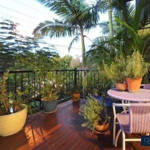 Modern and Spacious Rental Property in Cannonvale - Photo 1