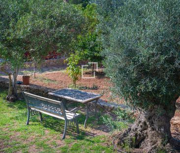 Authentic renovated Ibizan charming villa with 4 en-suite bedrooms ... - Photo 6