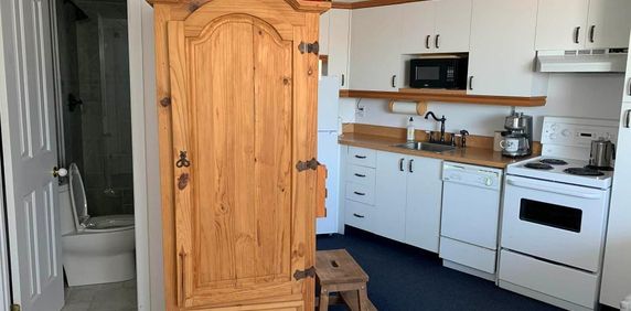 Petit 3 1/2 meublé et équipé - Photo 2