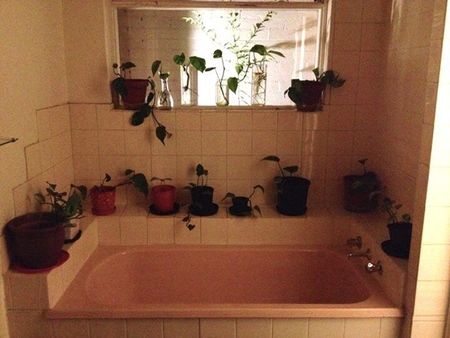 Carlton North - Photo 2