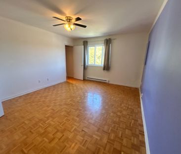 59 Rue Galipeau - Photo 6