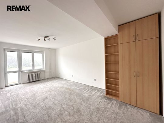 Pronájem bytu 2+1 v osobním vlastnictví 51 m², Adamov - Фото 1