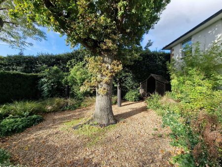 2 bedroom detached house to rent - Photo 3