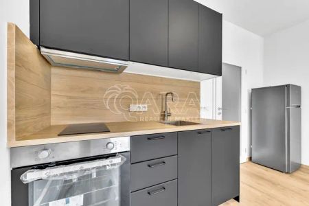 Pronájem bytu 1+kk, Za černým mostem, 35 m - Фото 3