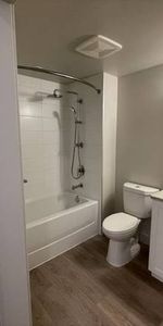 Modern 1BR/In suite laundry/SS appliances/On site management/No pets - Photo 4