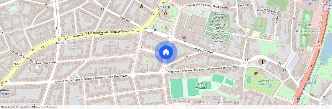 Avenue J.P. Rullens, 1200, Woluwe-Saint-Lambert