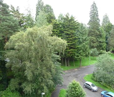 5a Ferndale House, Dunmurry, Belfast, BT17 9DB - Photo 3