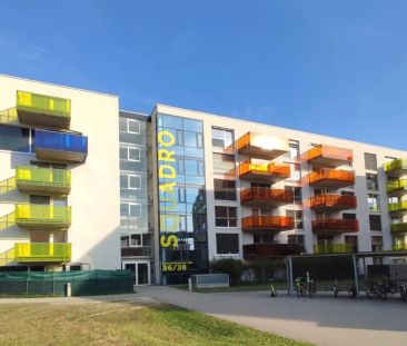 Mitten in Linz und doch so grün - schön & praktisch Wohnen - Photo 1