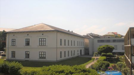 ÖHLING II - Foto 2