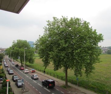 Te huur: Kamer Sonsbeekweg in Arnhem - Foto 5