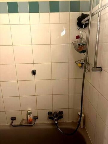 2½-ROOM ATTIC APARTMENT IN GENEVA - CENTER, FURNISHED, TERM LIMITED - Photo 5