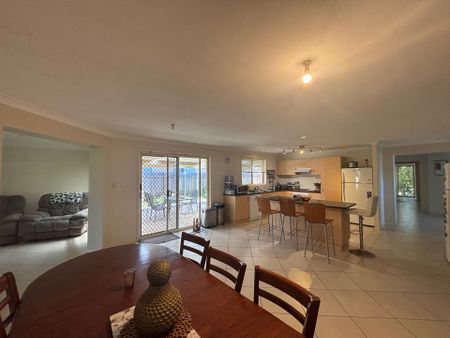 Elegant Eucalyptus - Photo 3