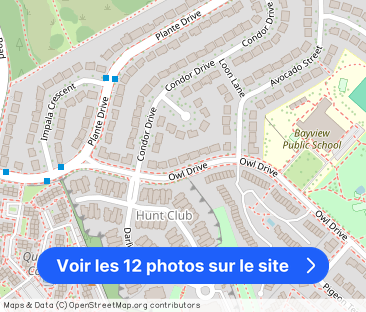 135 Owl Drive - Photo 1