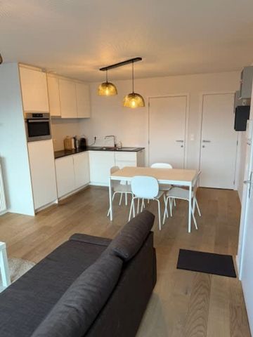 Nederkouter - Photo 3