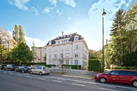Splendide rez-de-jardin de 300 m² ; 100 m² terrasse - Photo 5