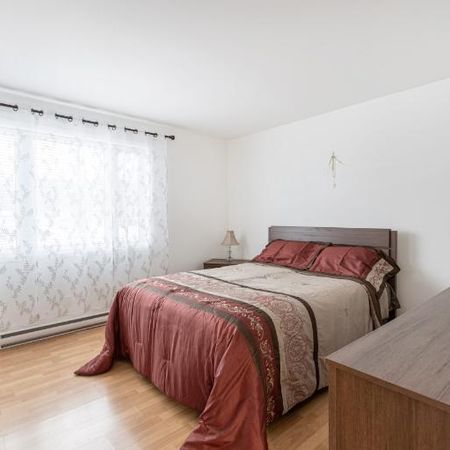 Appartement 4 ½ à louer Lévis juin 2026 - Photo 4