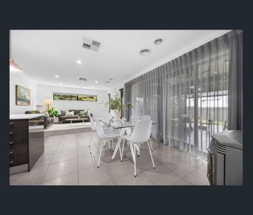 Immaculate Modern Home with Stylish Living and Entertaining - Photo 4