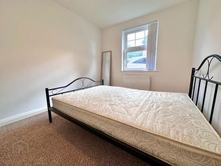 105a Ulsterville Avenue, Belfast, BT9 7AU - Photo 4