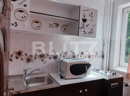 Garsoniera, zona Brazda lui Novac - Fotografie 5