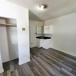 243 Rue Papineau (Hull) Studio Rénové - Photo 3