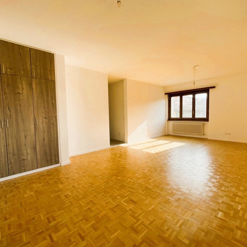 MENDRISIO – RISTRUTTURATO CON VISTA APERTA ED AMPI SPAZI - Photo 1