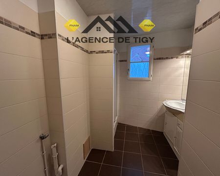 Location Appartement 2 pièces 51m² - Photo 4