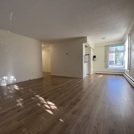 1 bed/1 bath apartment in Kerrisdale - Photo 4