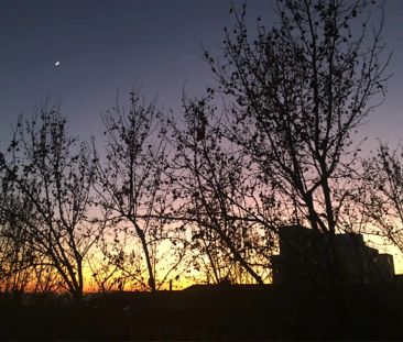 Madrid - Foto 6