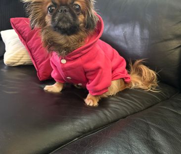 Vetterslundsgatan, Västerås - Photo 4