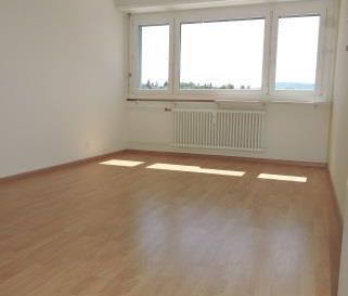 Singles aufgepasst! Charmante 1-Zimmerwohnung in Therwil - Photo 1