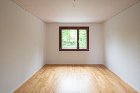 Modern life in the Stadtsägi - Photo 5