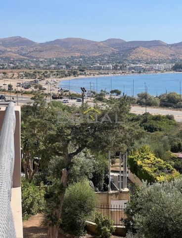 Μεζονέτα για ενοικίαση Ανάβυσσος - Photo 5