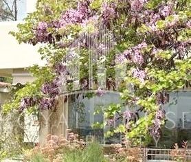 Διαμέρισμα για ενοικίαση Κηφισιά - Photo 2