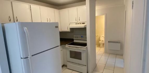 3 ET DEMI LIBRE IMMÉDIATEMENT - Photo 2