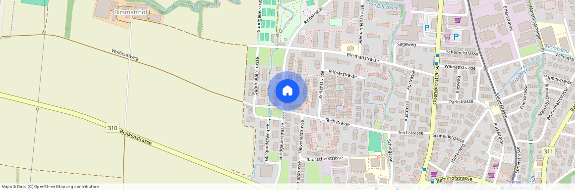 4106, Therwil, Ringstrasse, 119