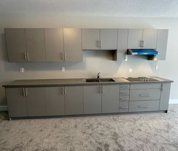 For Lease - 27 Hollybrook Trail Unit# Lower, Kitchener, Ontario - Photo 4