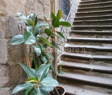 Monolocale via Ottusa, San Pellegrino - Pianoscarano, Viterbo - Photo 5