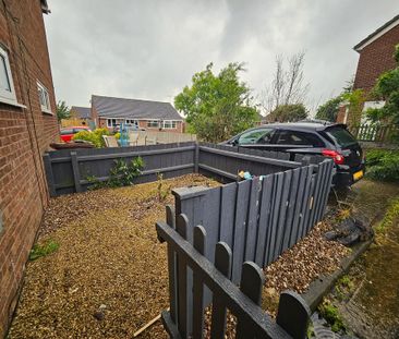 1 bedroom cluster house to rent - Photo 5