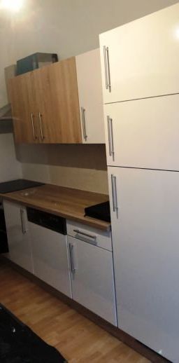 SchÃ¶ne 2 Raum Wohnung mit EinbaukÃ¼che in Zwickau Planitz ab 01.07. zu vermieten. - Foto 1