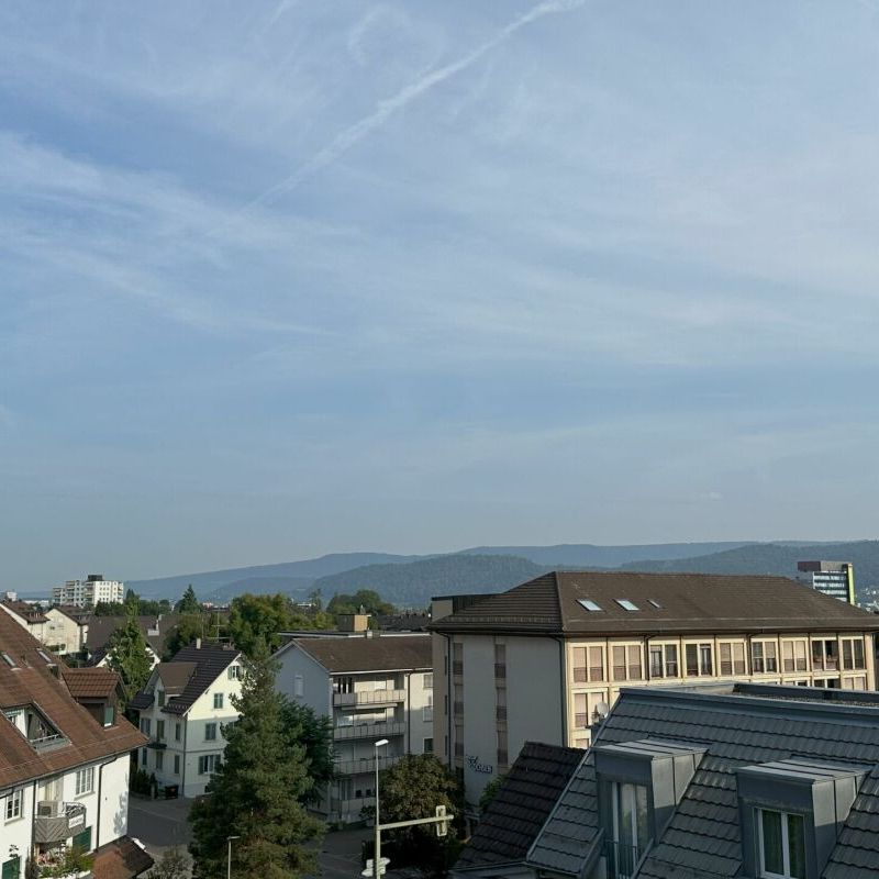 Grosszügige 5.5 Zimmer-Attikawohnung mit exklusiver Dachterrasse - Photo 1