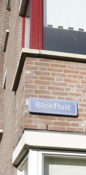 Blokfluit 21 - Foto 1