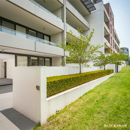 62/22 Eyre Street, Kingston ACT 2604 - Apartment For Rent | Domain - Photo 4