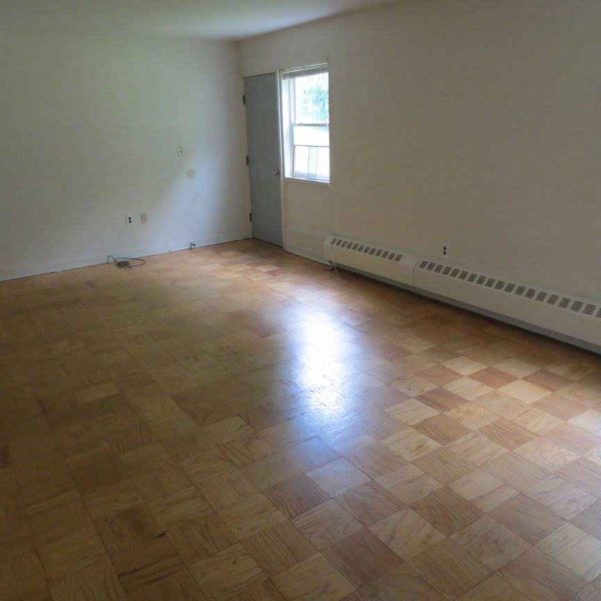 3 BR Townhouse w/Basement- Avail Nov 20 - Photo 1