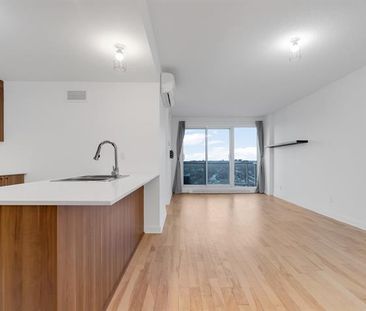 10050 Place de l'Acadie - Photo 4