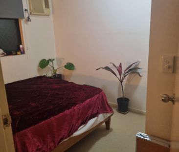 Parramatta Park - Photo 4