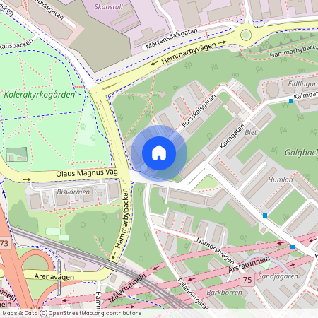 Forsskålsgatan 4, Hammarbyhöjden