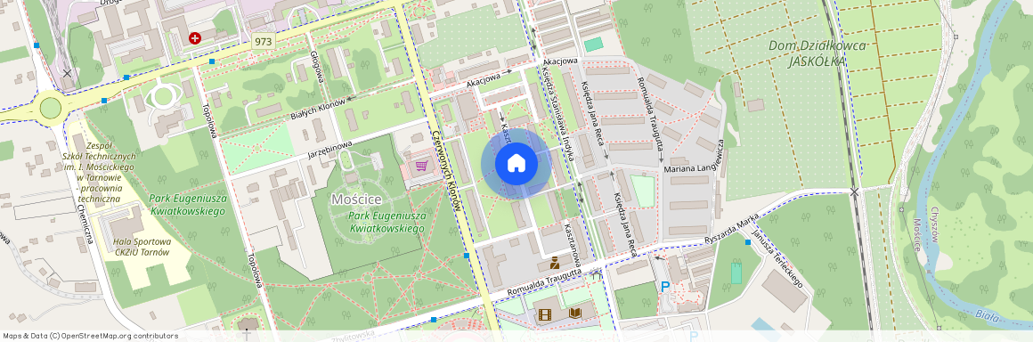 Kasztanowa, Mościce, 33-100, Tarnów