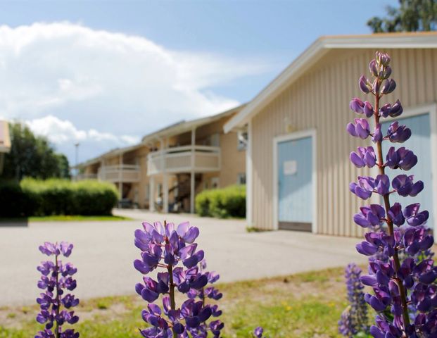 Stinsvägen 3 D - Foto 1